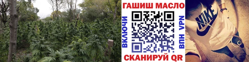 ТГК THC oil  Купить закладки  Могоча 