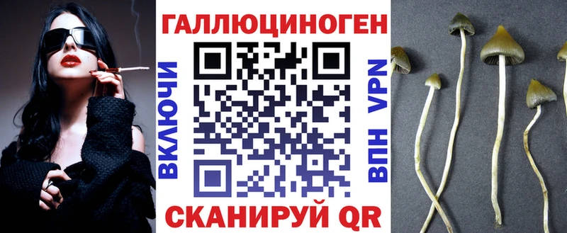 Галлюциногенные грибы Psilocybine cubensis  Купить закладки  Могоча 
