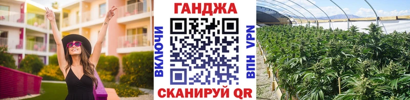 Купить закладки  Могоча  Бошки марихуана планчик 